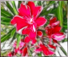 Oleander painted. ©UdoSm