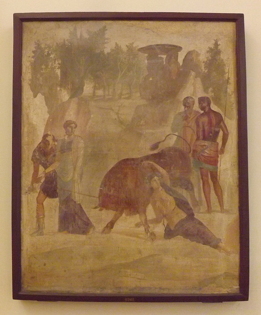 Wall Painting with Dirce Tied to the Bull from the House of the Grand Duke in Pompeii in the Naples Archaeological Museum, July 2012