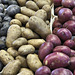 Potatoes – Marché Jean-Talon, Montréal, Québec, Canada