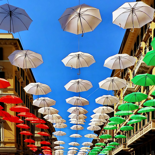 Genova : una simpatica interpretazione del Tricolore