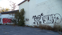 Graffitis de mauvais goût / Ugly graffitis