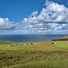 Hebridean View
