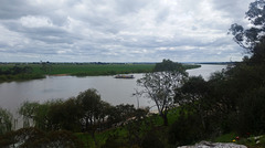 Murray River at Tailem Bend