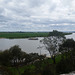 Murray River at Tailem Bend