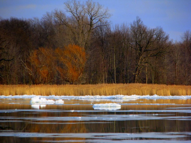 St. Clair River, Harsen's Island, Michigan