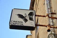 Pergola 2019 – Cinema Capitol