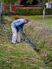 This year the strongest job. Gunnar weeds and slinks the mown trench (2018)