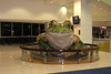 Giant Frog At Sydney Airport