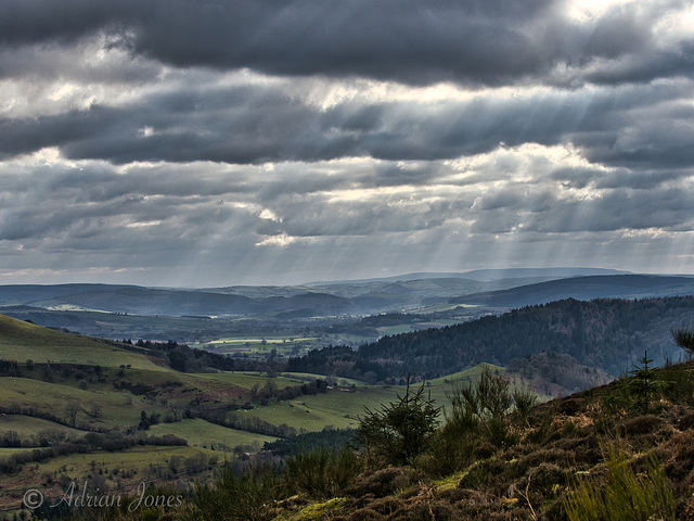 Shropshire view.