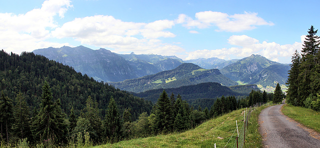 HFF - Panoramablick auf die Berge des Bregenzerwaldes