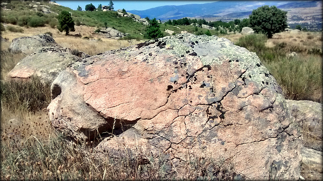 Pink granite boulder