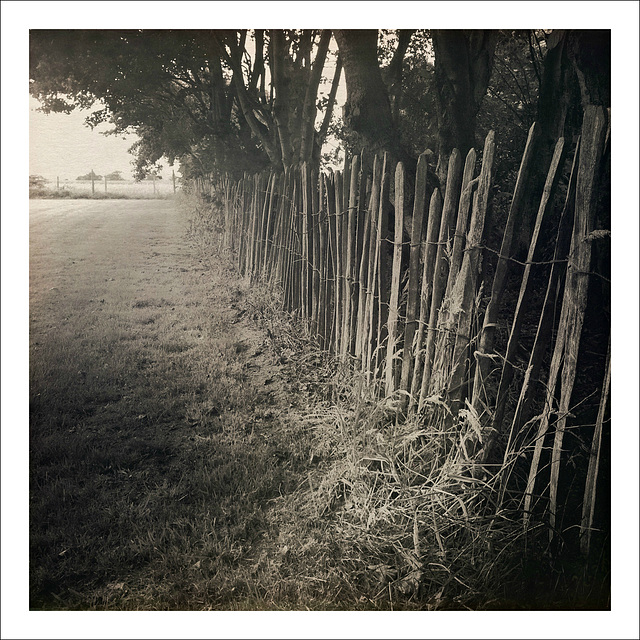 fence in twilight