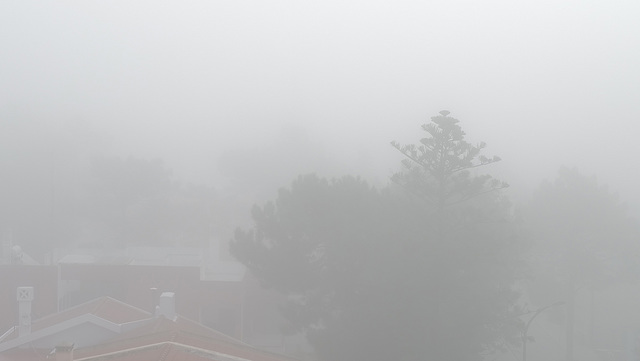 Monte Gordo, Misty morning