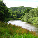 River Severn at Chestnut Coppice.