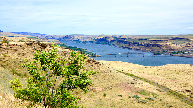 USA 2016 – Columbia River Gorge – View from Goldendale WA