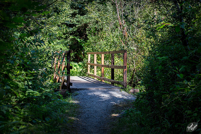 Happy Fence Friday from Tugman State Park! (+5 insets!)