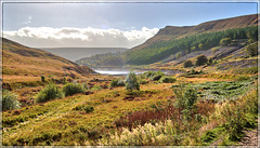 Another from Dovestone's