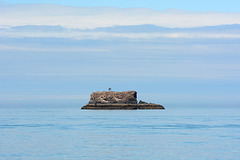 Alaska, Gull Island in Kachemak Bay
