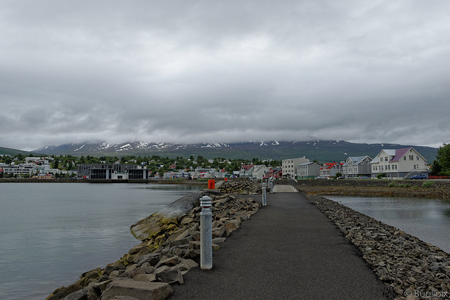 im Hafen von Akureyri (© Buelipix)
