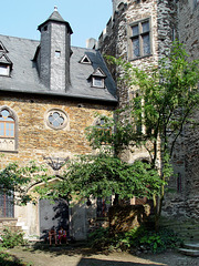 Burg Lahneck, Burghof