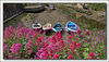 The Boats of Staithes