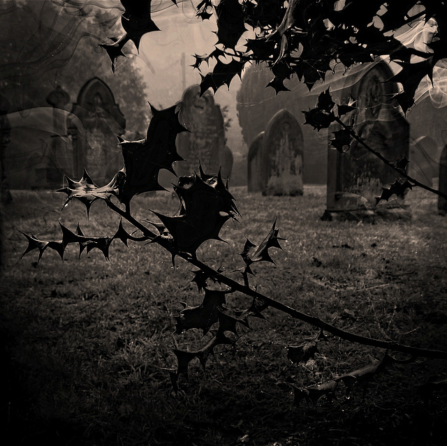 A Grave Scene A Grave Scene