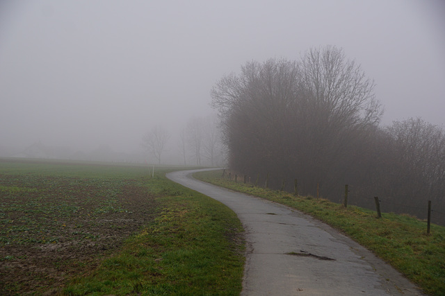 Nebel bei Elbingerode II