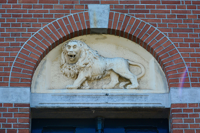 Woerden 2017 – Lion