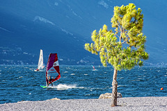 H,A.N.W.E - at Lake Garda (IT)