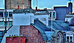 Rooftops and Chimney Pots