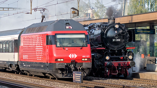 170922 Rupperswil BR01 202 Re460 3