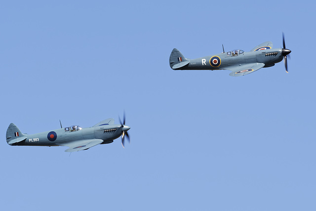 Pair of Supermarine Spitfire PR Mk XIs