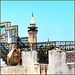 Tunisi : Sui tetti della Medina e il minareto della Moskea
