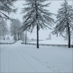 White Winter World 2.