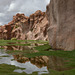 Bolivia, Catal River Valley, Reflection of the Rocks