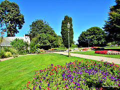 Hamilton Gardens in Flower.