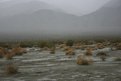 A storm in the desert--
