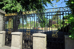 IMG 5516-001-National Botanic Gardens