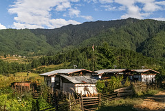 Tang Valley