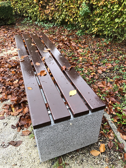 A bench in late autumn.