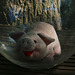 Miss Piggy dans sa bulle de bonne humeur