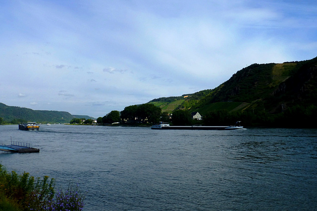 DE - Andernach - Blick auf den Rhein