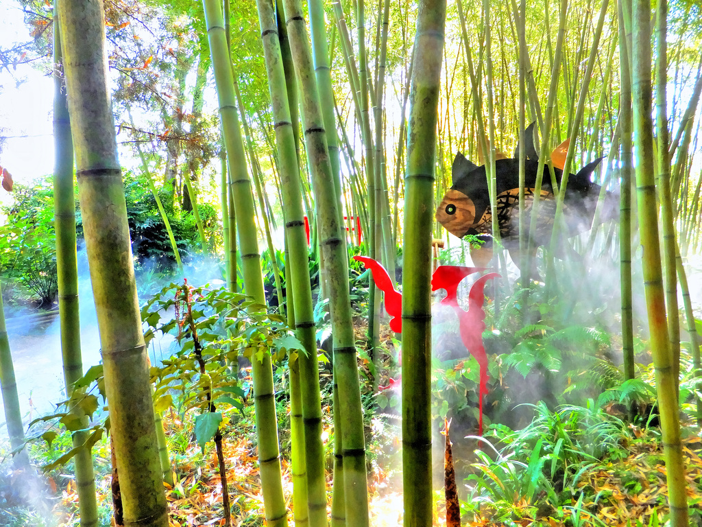 Im Bambus - Regenwald... ©UdoSm