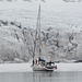 Svalbard, Van Mijenfjorden, Coastal Ice and the Glacier