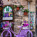 Assisi: lavender shop