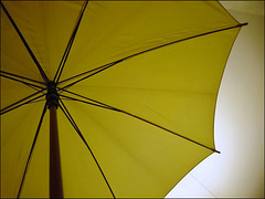 21SH An umbrella