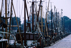 Hafen T.nning, 1979