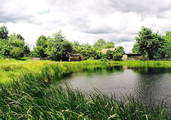 Am Teich in Pommern