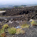 Etna's volcanic mountainside.