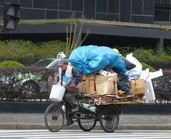 Cargo bike in Shanghai